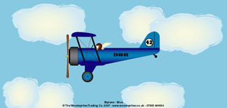 Personalised Birthday Cards - Biplane Blue