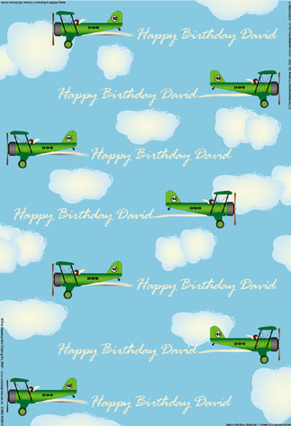 Personalised Birthday Wrapping Paper - Biplane Green