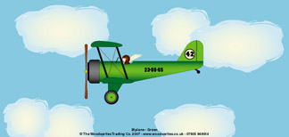 Personalised Birthday Cards - Biplane Green
