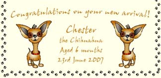 Personalised Pet Cards - Chihuahua Fawn 1