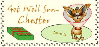 Personalised Pet Cards - Chihuahua Fawn 3