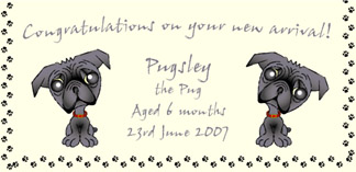 Personalised Pet Cards - Pug Black 2