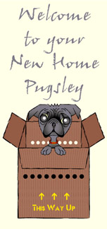 Personalised Pet Cards - Pug Black 4