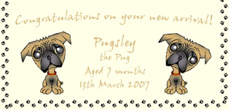Personalised Pet Cards - Pug Tan 2
