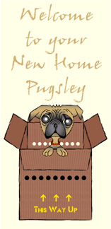 Personalised Pet Cards - Pug Tan 4