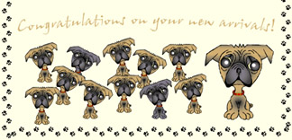 Personalised Pet Cards - Pug Tan 5